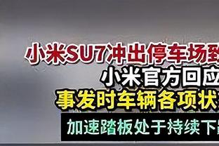 意大利队新款客场球衣谍照：大量暗纹，绿白红国旗配色